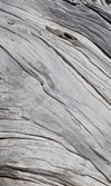 Dimex Tree Texture Fototapete 150x250cm 2 Bahnen | Yourdecoration.de
