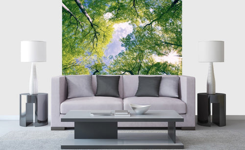 Dimex Trees Fototapete 225x250cm 3 Bahnen Interieur | Yourdecoration.de