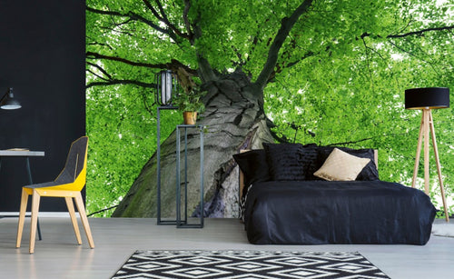 Dimex Treetop Fototapete 375x250cm 5 Bahnen Interieur | Yourdecoration.de
