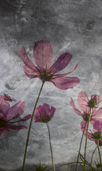 Dimex Violet Flower Abstract Fototapete 150x250cm 2 bahnen | Yourdecoration.de