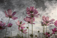 Dimex Violet Flower Abstract Fototapete 375x250cm 5 bahnen | Yourdecoration.de