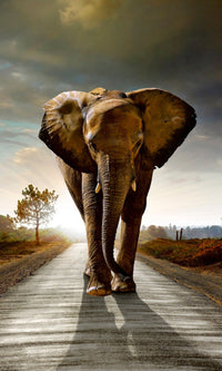 Dimex Walking Elephant Fototapete 150x250cm 2 Bahnen | Yourdecoration.de