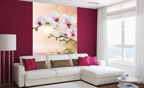 Dimex White Orchid Fototapete 150x250cm 2 Bahnen Interieur | Yourdecoration.de