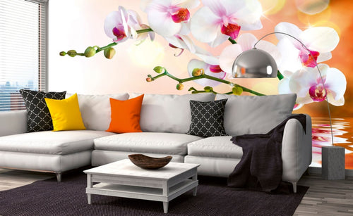 Dimex White Orchid Fototapete 375x250cm 5 Bahnen Interieur | Yourdecoration.de