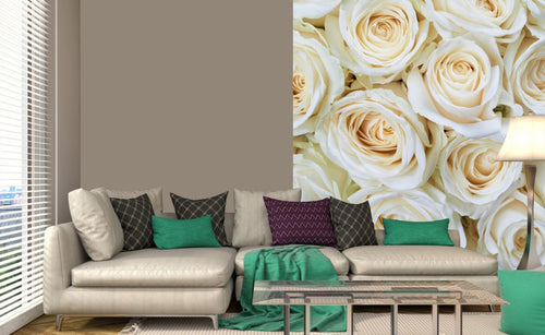 Dimex White Roses Fototapete 225x250cm 3 Bahnen Interieur | Yourdecoration.de