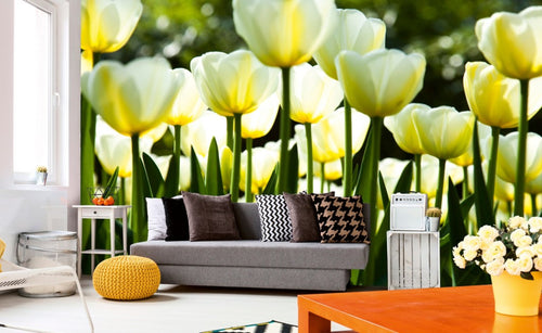 Dimex White Tulips Fototapete 375x250cm 5 Bahnen Interieur | Yourdecoration.de