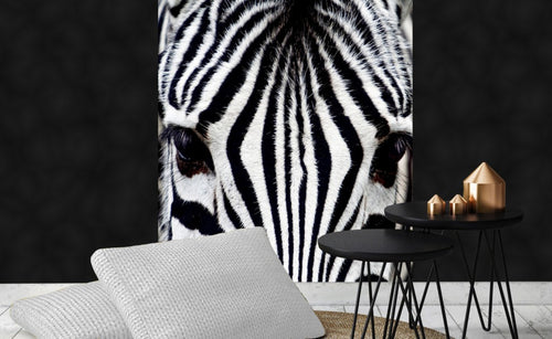 Dimex Zebra Fototapete 225x250cm 3 Bahnen Interieur | Yourdecoration.de