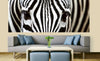 Dimex Zebra Fototapete 375x150cm 5 Bahnen Interieur | Yourdecoration.de