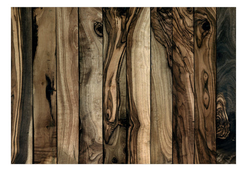 Fototapete - Olive Wood - Vliestapete