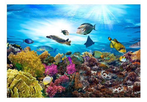 Fototapete - Coral Reef - Vliestapete