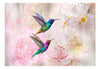 Fototapete - Colourful Hummingbirds Pink - Vliestapete