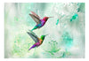 Fototapete - Colourful Hummingbirds Green - Vliestapete