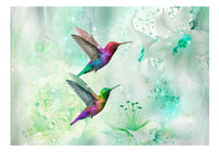 Artgeist Colourful Hummingbirds Green Vlies Fototapete | Yourdecoration.de