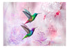 Fototapete - Colourful Hummingbirds Purple - Vliestapete