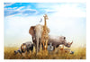 Fototapete - Fauna of Africa - Vliestapete