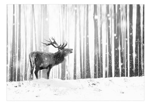 Fototapete - Deer in the Snow Black and White - Vliestapete
