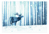 Fototapete - Deer in the Snow Blue - Vliestapete