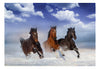 Fototapete - Horses in the Snow - Vliestapete