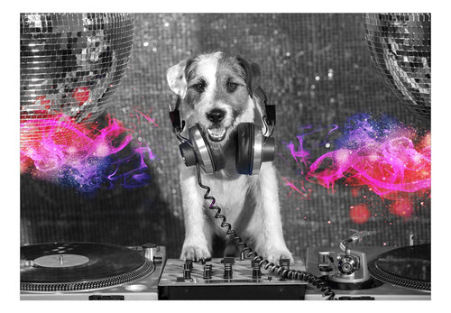 Fototapete - Dj Dog - Vliestapete