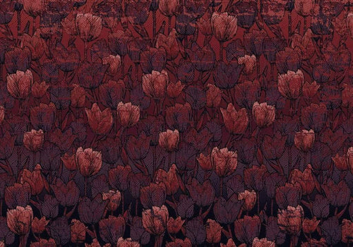 Komar Tulipe Vlies Fototapete 400x280cm 8 bahnen | Yourdecoration.de