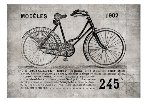Fototapete - Bicycle Vintage - Vliestapete
