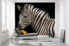 Komar Damara Zebra Vlies Fototapete 400X280Cm 6 Teile Interieur | Yourdecoration.at