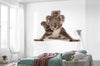 Komar Koala Vlies Fototapete 300X280Cm 6 Teile Interieur | Yourdecoration.at