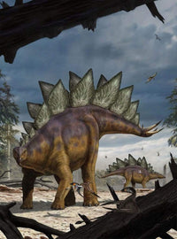 Komar Stegosaurus Vlies Fototapete 184x248cm 2 Bahnen | Yourdecoration.de
