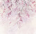 Komar Vlies Fototapete Inx6 013 Kirschblüten | Yourdecoration.at