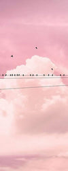 Komar Cloud Wire Vlies Fototapete 100x250cm 1 bahn | Yourdecoration.de