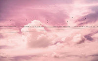 Komar Cloud Wire Vlies Fototapete 400x250cm 4 bahnen | Yourdecoration.de
