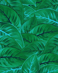 Komar Jungle Leaves Vlies Fototapete 200x250cm 2 bahnen | Yourdecoration.de