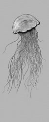 Komar Jellyfish Vlies Fototapete 100x250cm 1 bahn | Yourdecoration.de