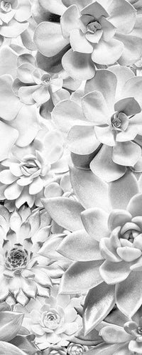 Komar Shades Black and White Vlies Fototapete 100x250cm 1 bahn | Yourdecoration.de