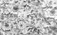 Komar Shades Black and White Vlies Fototapete 400x250cm 4 bahnen | Yourdecoration.de