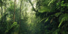 Komar Tropenwelten Vlies Fototapete 500x250cm 5 bahnen | Yourdecoration.de