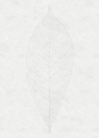 Komar Decent Leaf Vlies Fototapete 200x280cm 2 bahnen | Yourdecoration.de