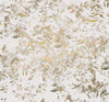 Komar Golden Feathers Vlies Fototapete 300x280cm 6 bahnen | Yourdecoration.de