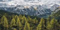 Komar Wild Dolomites Vlies Fototapete 200x100cm 1 bahn | Yourdecoration.de