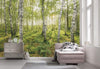 Komar Birch Trees Vlies Fototapete 400x250cm 4 bahnen Sfeer | Yourdecoration.de