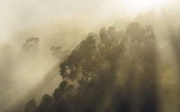 Komar Misty Mountain Vlies Fototapete 400x250cm 4 bahnen | Yourdecoration.de