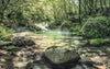 Komar Tranquil Pool Vlies Fototapete 400x250cm 4 bahnen | Yourdecoration.de