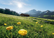 Komar Alpenglück Vlies Fototapete 400x280cm 8 bahnen | Yourdecoration.de