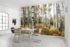 Komar Colorful Aspenwoods Vlies Fototapete 450x280cm 9 bahnen Sfeer | Yourdecoration.de