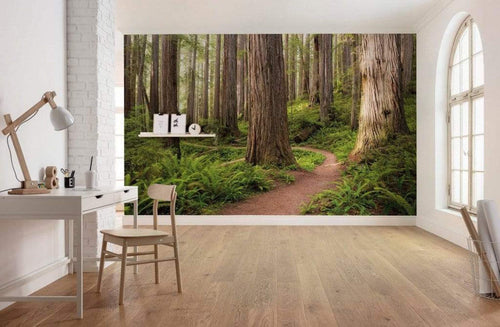 Komar Redwood Trail Vlies Fototapete 450x280cm 9 bahnen Sfeer | Yourdecoration.de