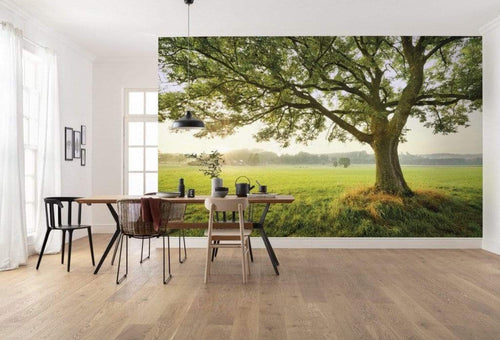 Komar The Magic Tree Vlies Fototapete 450x280cm 9 bahnen Sfeer | Yourdecoration.de