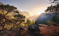 Komar Yosemites Secret Vlies Fototapete 450x280cm 9 bahnen | Yourdecoration.de