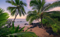 Komar Hawaiian Dreams Vlies Fototapete 450x280cm 9 bahnen | Yourdecoration.de